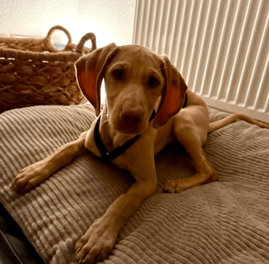 2025 11 02 15 55 10 posteingang sina.rieke kroeger@oetker.com outlook