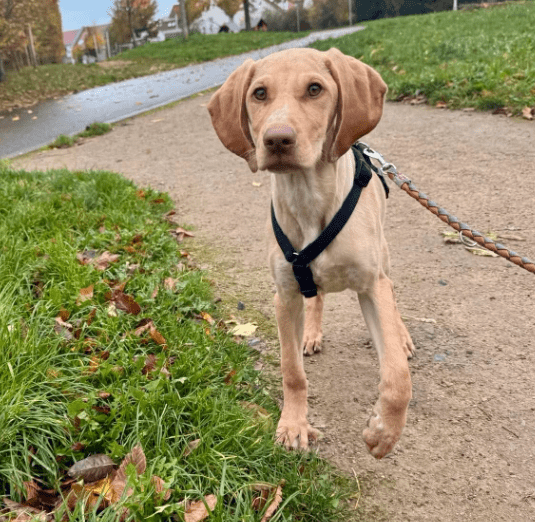 2025 11 02 15 55 18 posteingang sina.rieke kroeger@oetker.com outlook