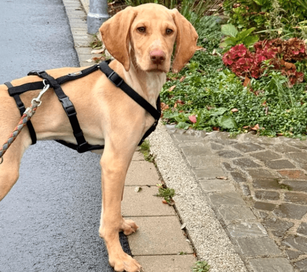 2025 11 02 15 55 31 posteingang sina.rieke kroeger@oetker.com outlook