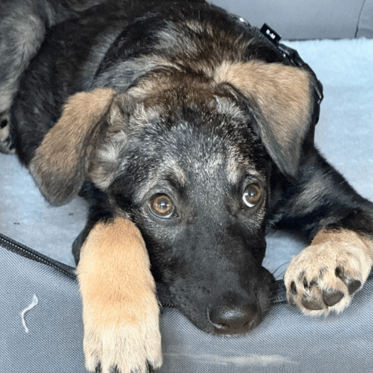 2025 11 02 15 56 35 posteingang sina.rieke kroeger@oetker.com outlook