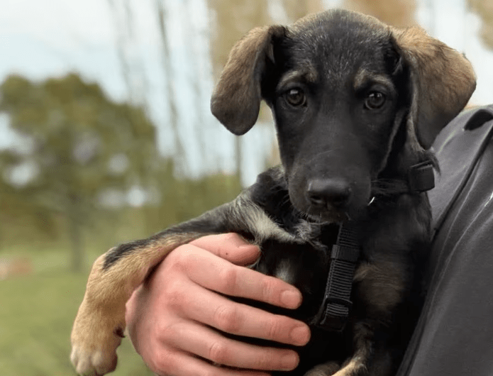 2025 11 02 15 56 42 posteingang sina.rieke kroeger@oetker.com outlook