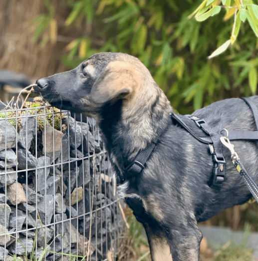 2025 11 02 15 56 48 posteingang sina.rieke kroeger@oetker.com outlook