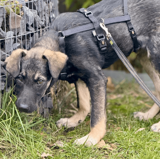 2025 11 02 15 56 53 posteingang sina.rieke kroeger@oetker.com outlook