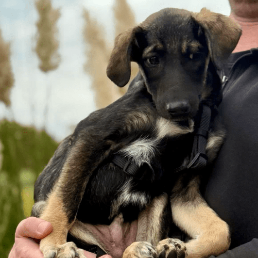 2025 11 02 15 57 00 posteingang sina.rieke kroeger@oetker.com outlook