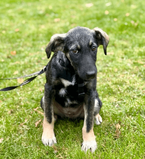 2025 11 02 15 57 10 posteingang sina.rieke kroeger@oetker.com outlook