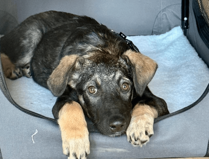 2025 11 02 15 57 17 posteingang sina.rieke kroeger@oetker.com outlook