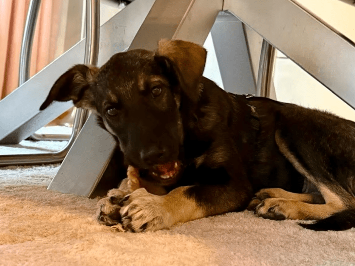 2025 11 02 15 57 24 posteingang sina.rieke kroeger@oetker.com outlook