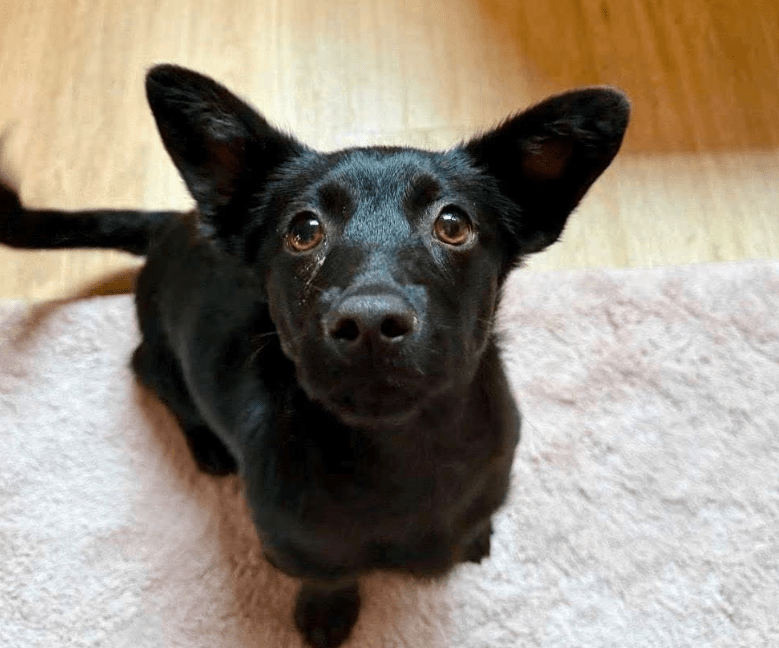 2025 11 04 16 32 49 posteingang sina.rieke kroeger@oetker.com outlook