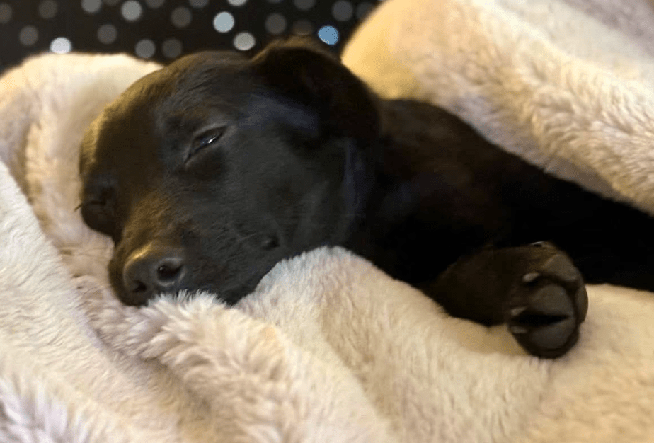 2025 11 04 16 32 54 posteingang sina.rieke kroeger@oetker.com outlook