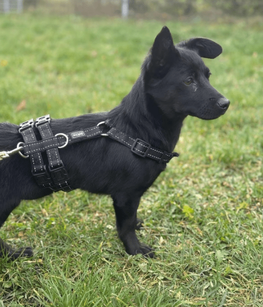 2025 11 04 16 32 58 posteingang sina.rieke kroeger@oetker.com outlook