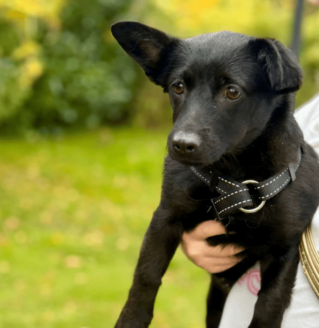 2025 11 04 16 33 01 posteingang sina.rieke kroeger@oetker.com outlook