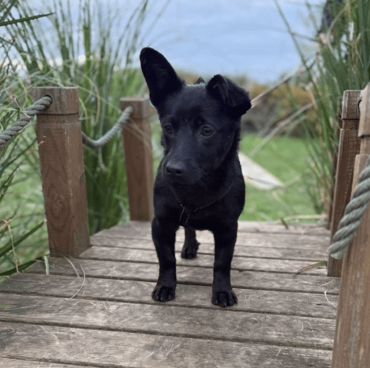 2025 11 04 16 33 05 posteingang sina.rieke kroeger@oetker.com outlook