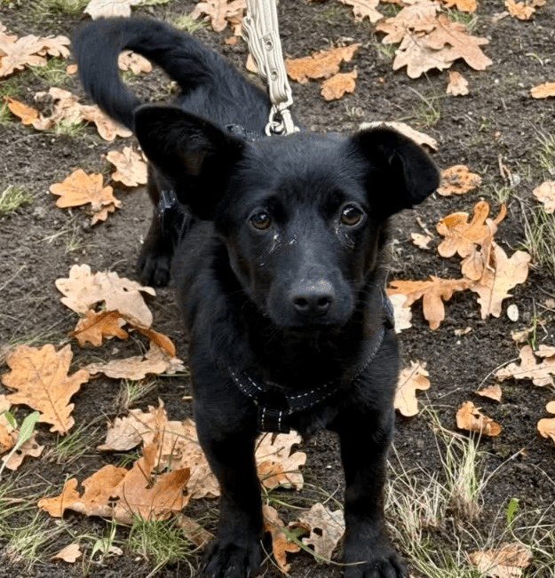 2025 11 04 16 33 09 posteingang sina.rieke kroeger@oetker.com outlook