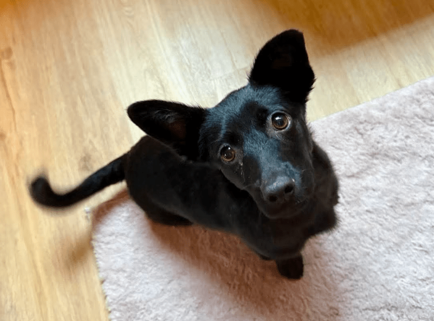 2025 11 04 16 33 14 posteingang sina.rieke kroeger@oetker.com outlook