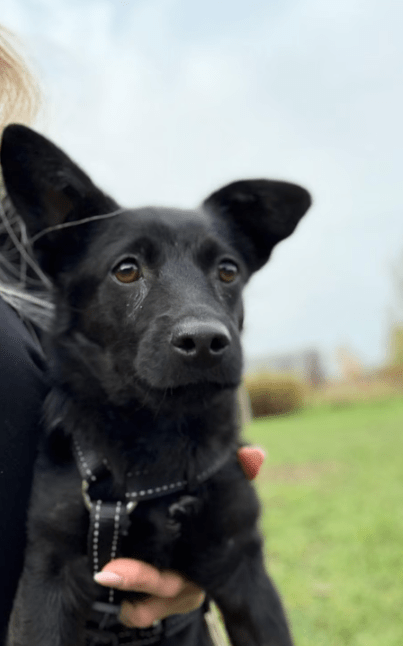 2025 11 04 16 33 20 posteingang sina.rieke kroeger@oetker.com outlook