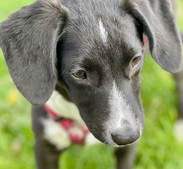 2025 11 04 16 35 19 posteingang sina.rieke kroeger@oetker.com outlook