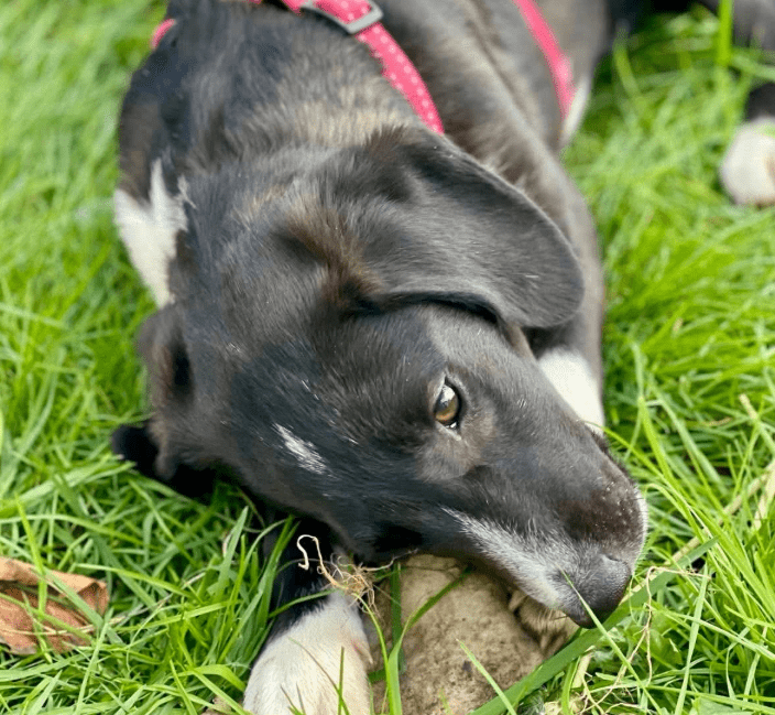 2025 11 04 16 35 23 posteingang sina.rieke kroeger@oetker.com outlook