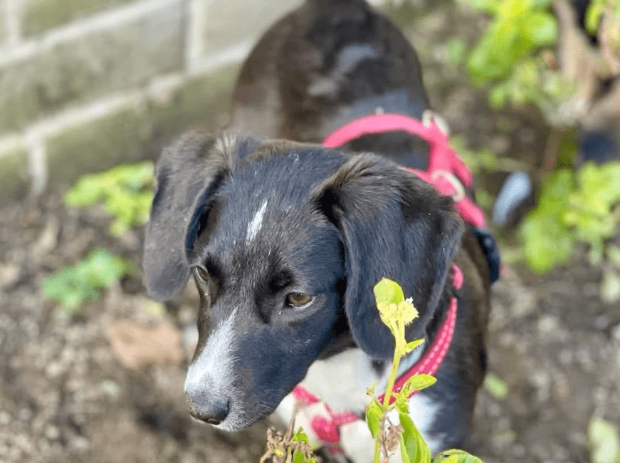 2025 11 04 16 35 30 posteingang sina.rieke kroeger@oetker.com outlook