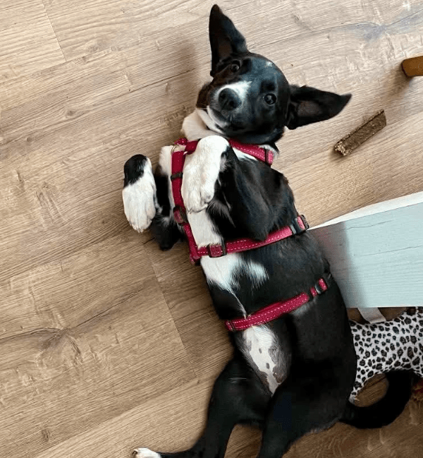 2025 11 04 16 35 35 posteingang sina.rieke kroeger@oetker.com outlook