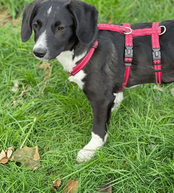 2025 11 04 16 35 39 posteingang sina.rieke kroeger@oetker.com outlook