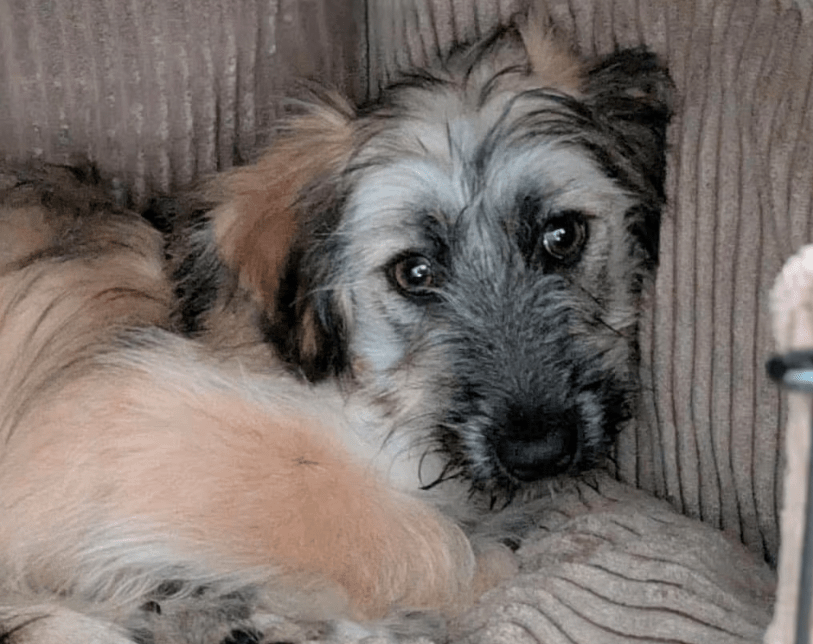 2025 11 04 16 44 00 posteingang sina.rieke kroeger@oetker.com outlook