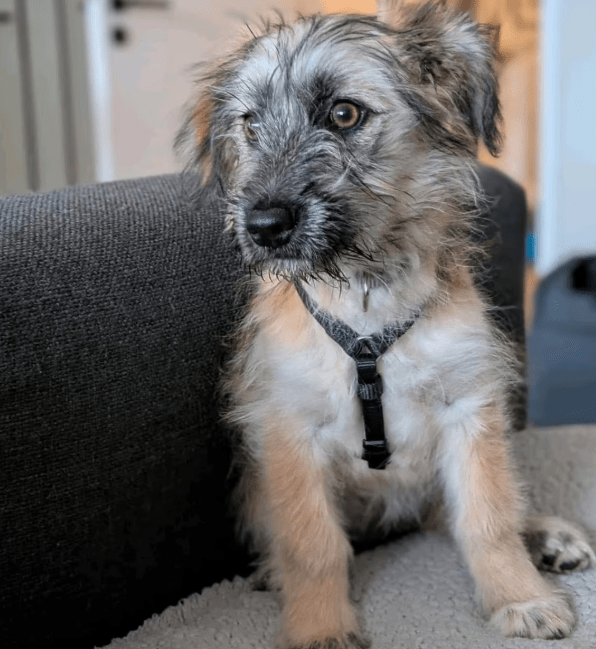 2025 11 04 16 44 05 posteingang sina.rieke kroeger@oetker.com outlook