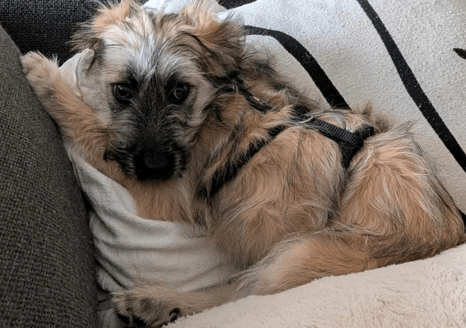 2025 11 04 16 44 09 posteingang sina.rieke kroeger@oetker.com outlook