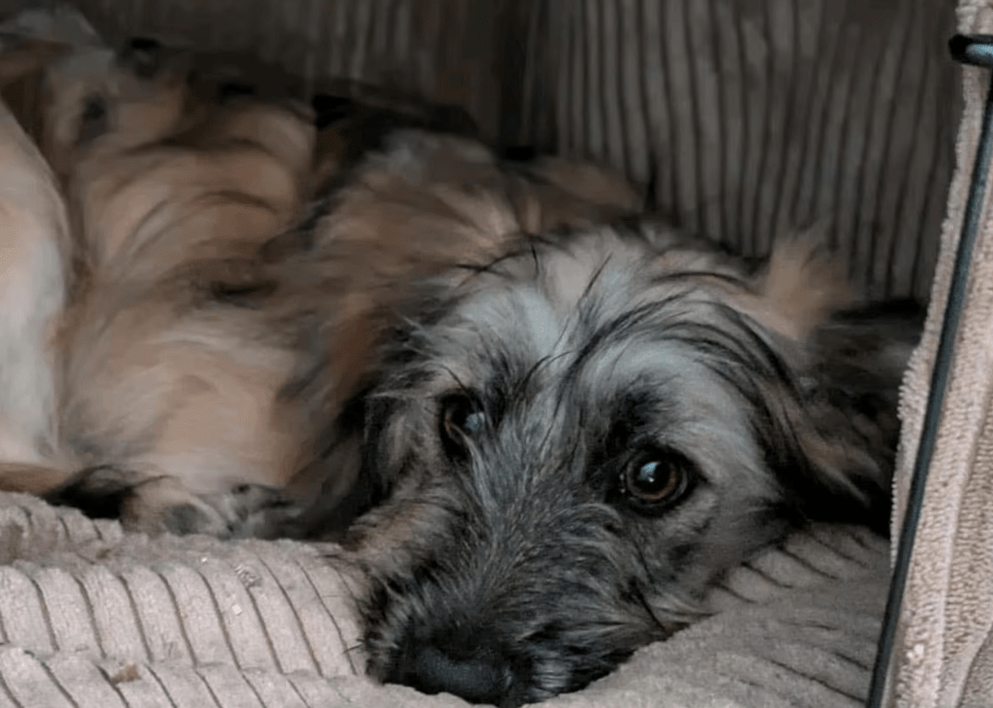 2025 11 04 16 44 14 posteingang sina.rieke kroeger@oetker.com outlook