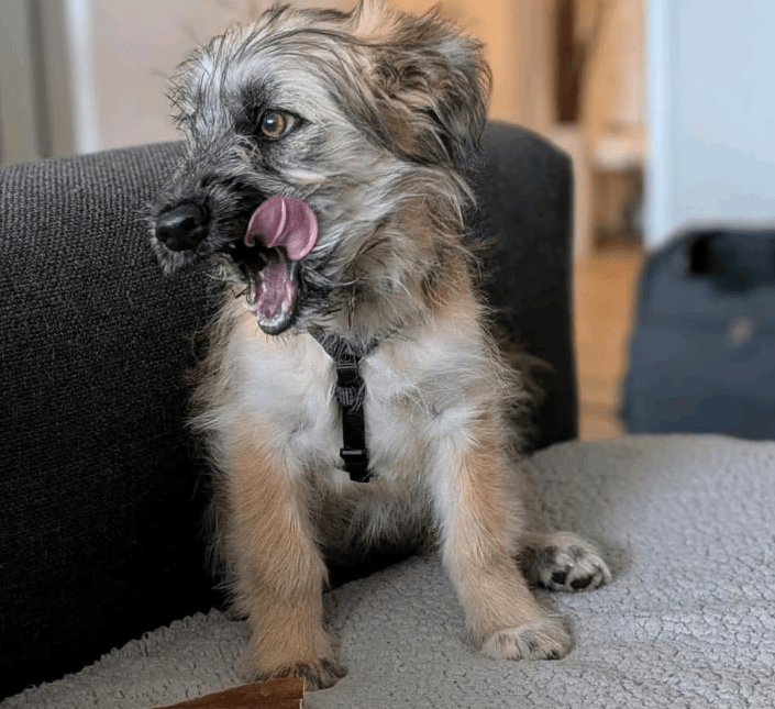 2025 11 04 16 44 17 posteingang sina.rieke kroeger@oetker.com outlook