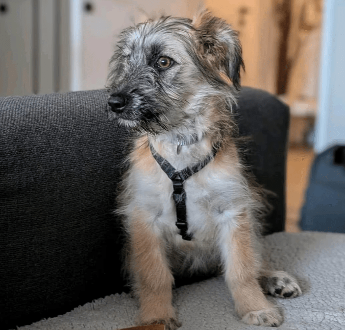 2025 11 04 16 44 22 posteingang sina.rieke kroeger@oetker.com outlook