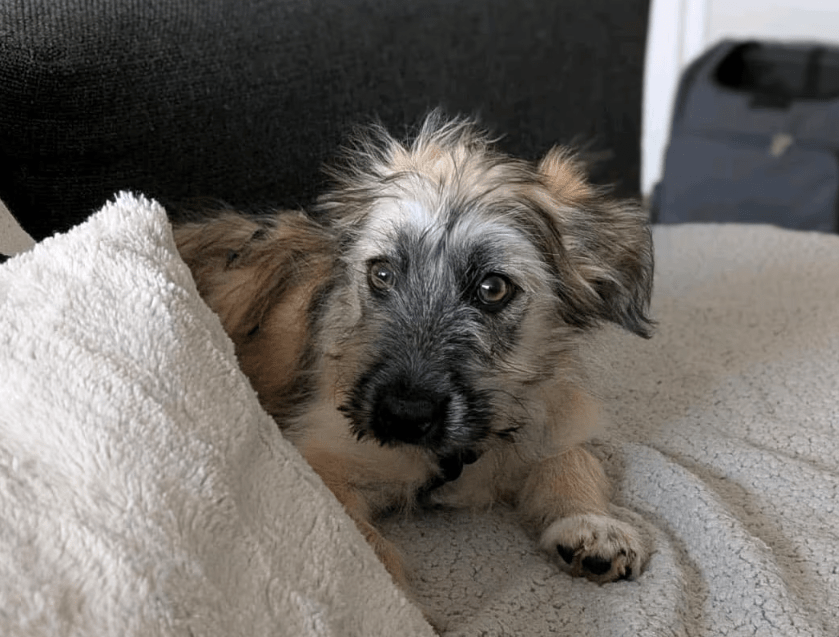 2025 11 04 16 44 27 posteingang sina.rieke kroeger@oetker.com outlook