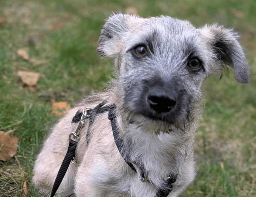 2025 11 04 16 45 31 posteingang sina.rieke kroeger@oetker.com outlook