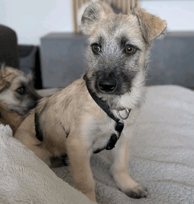 2025 11 04 16 45 36 posteingang sina.rieke kroeger@oetker.com outlook