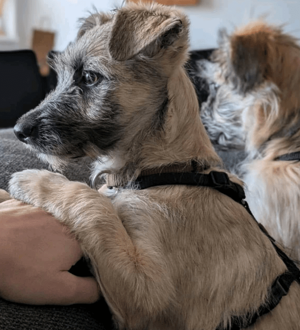 2025 11 04 16 45 40 posteingang sina.rieke kroeger@oetker.com outlook