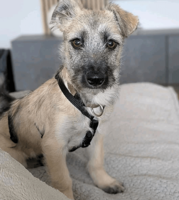 2025 11 04 16 45 43 posteingang sina.rieke kroeger@oetker.com outlook