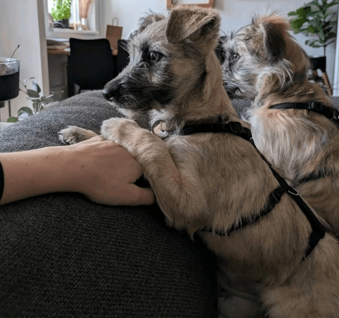 2025 11 04 16 45 49 posteingang sina.rieke kroeger@oetker.com outlook