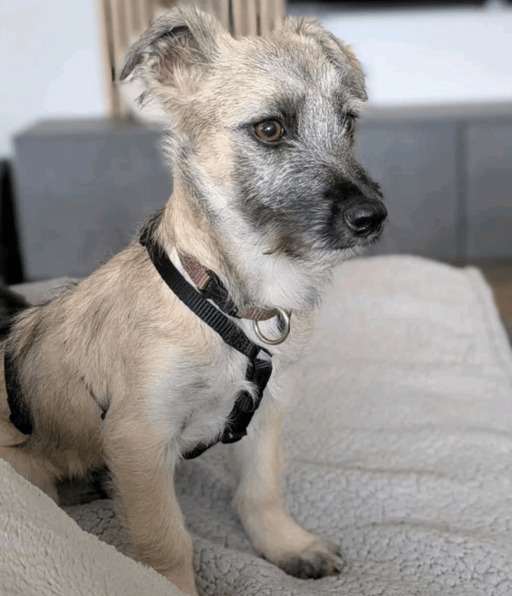 2025 11 04 16 45 54 posteingang sina.rieke kroeger@oetker.com outlook