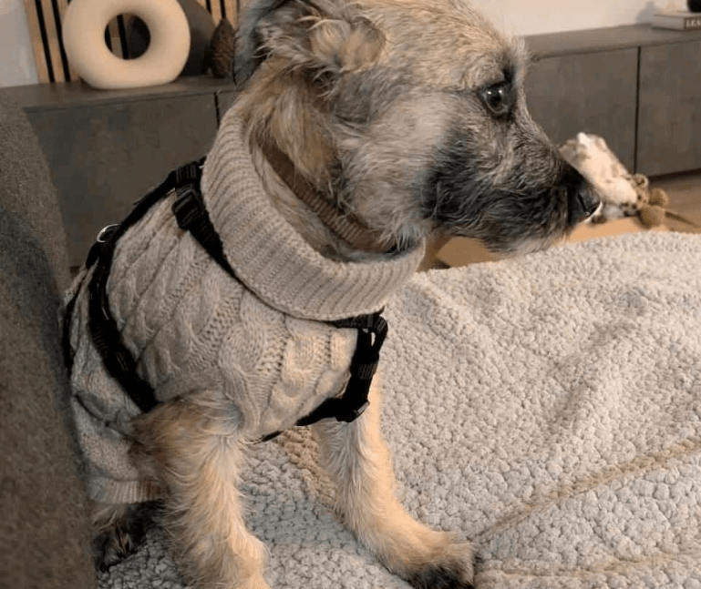 2025 11 04 16 45 58 posteingang sina.rieke kroeger@oetker.com outlook