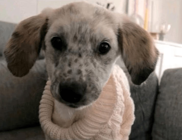 2025 11 04 16 48 02 posteingang sina.rieke kroeger@oetker.com outlook