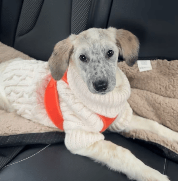 2025 11 04 16 48 06 posteingang sina.rieke kroeger@oetker.com outlook