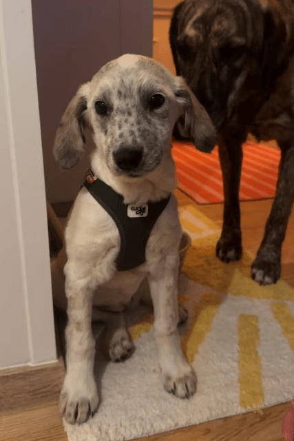 2025 11 04 16 48 09 posteingang sina.rieke kroeger@oetker.com outlook