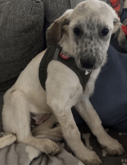 2025 11 04 16 48 13 posteingang sina.rieke kroeger@oetker.com outlook