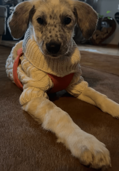 2025 11 04 16 48 17 posteingang sina.rieke kroeger@oetker.com outlook