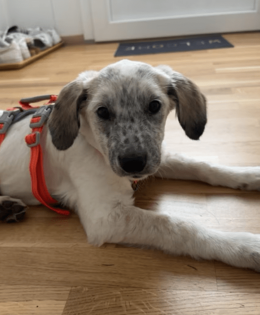 2025 11 04 16 48 21 posteingang sina.rieke kroeger@oetker.com outlook