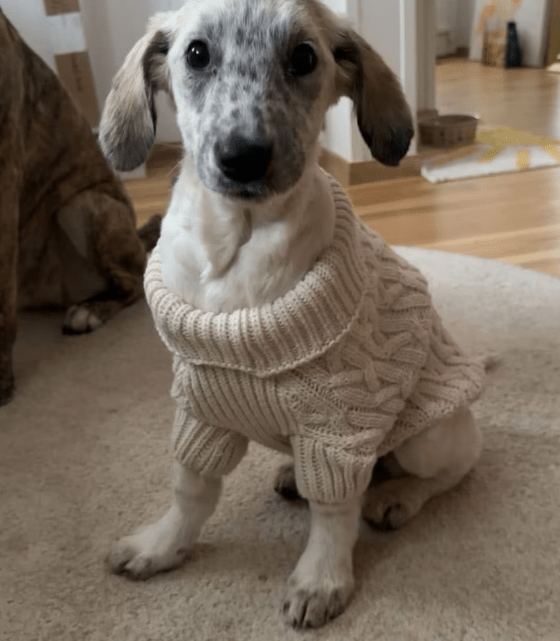 2025 11 04 16 48 24 posteingang sina.rieke kroeger@oetker.com outlook