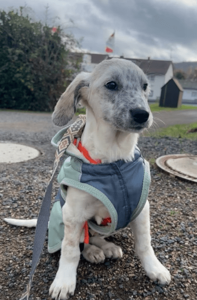 2025 11 04 16 48 27 posteingang sina.rieke kroeger@oetker.com outlook