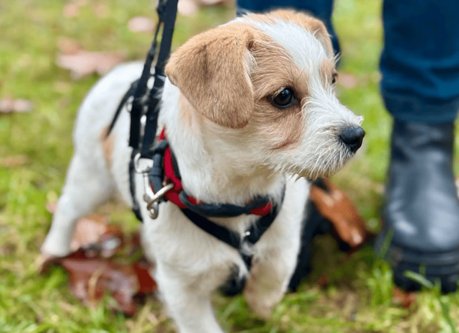 2025 11 21 11 24 52 Posteingang Sina.Rieke Kroeger@oetker.com Outlook