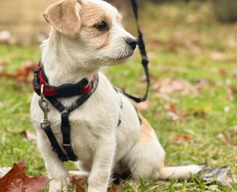 2025 11 21 11 24 56 Posteingang Sina.Rieke Kroeger@oetker.com Outlook