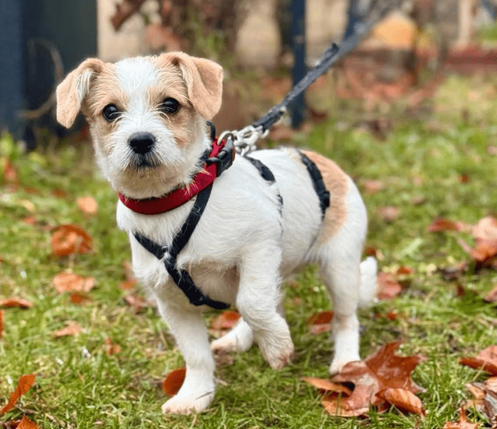 2025 11 21 11 25 01 Posteingang Sina.Rieke Kroeger@oetker.com Outlook