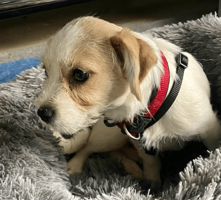 2025 11 21 11 25 05 Posteingang Sina.Rieke Kroeger@oetker.com Outlook